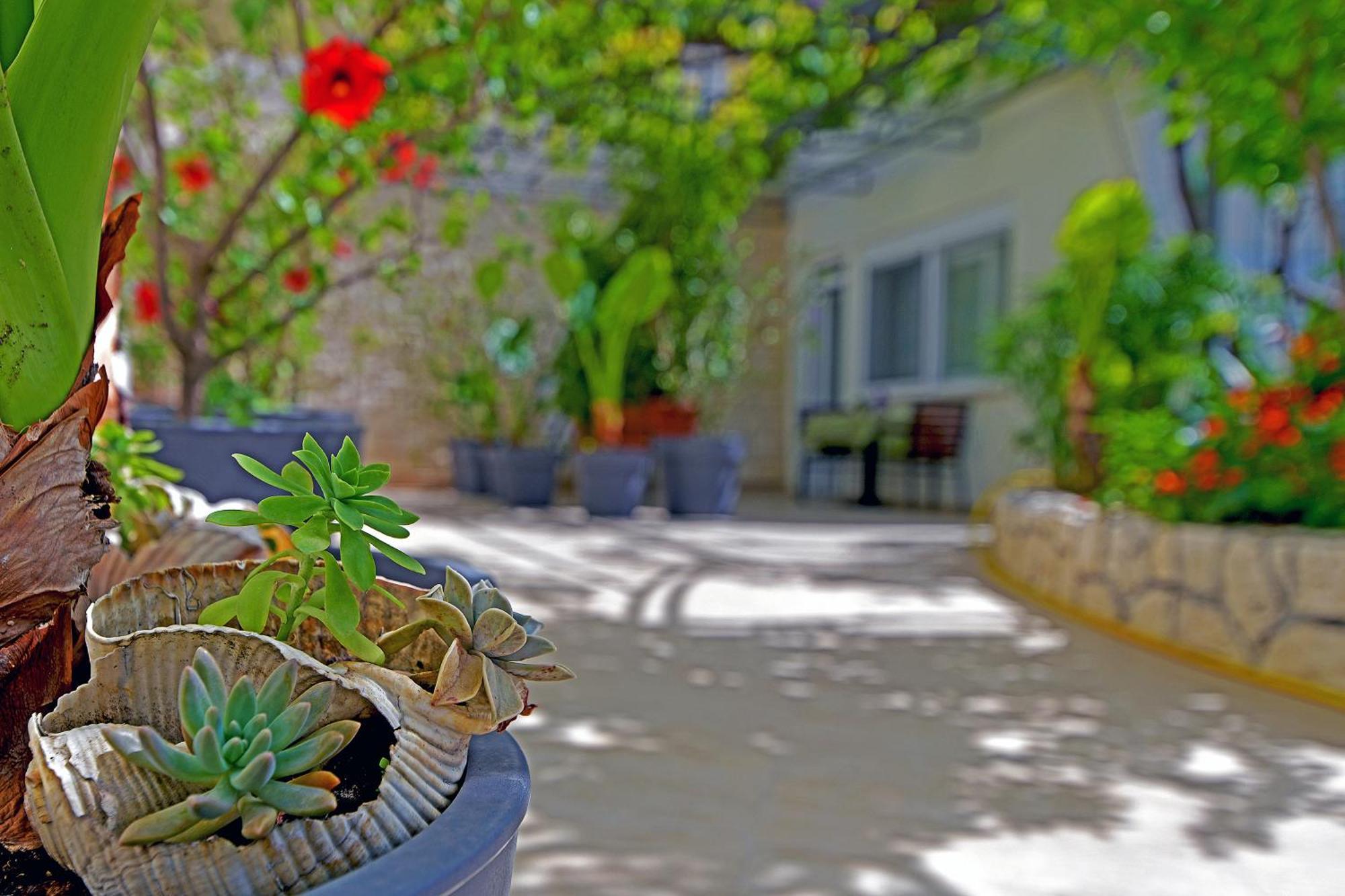 Apartments Micic Hvar Town Extérieur photo